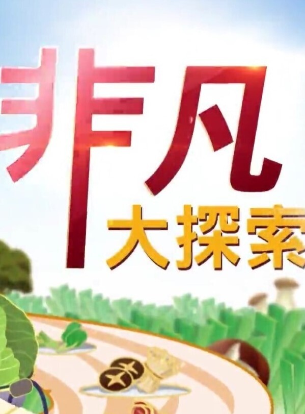 新流出酒店偷拍和媳妇闺蜜开房偷情各种姿势草简直就是活春宫 - 蜜雪冰城